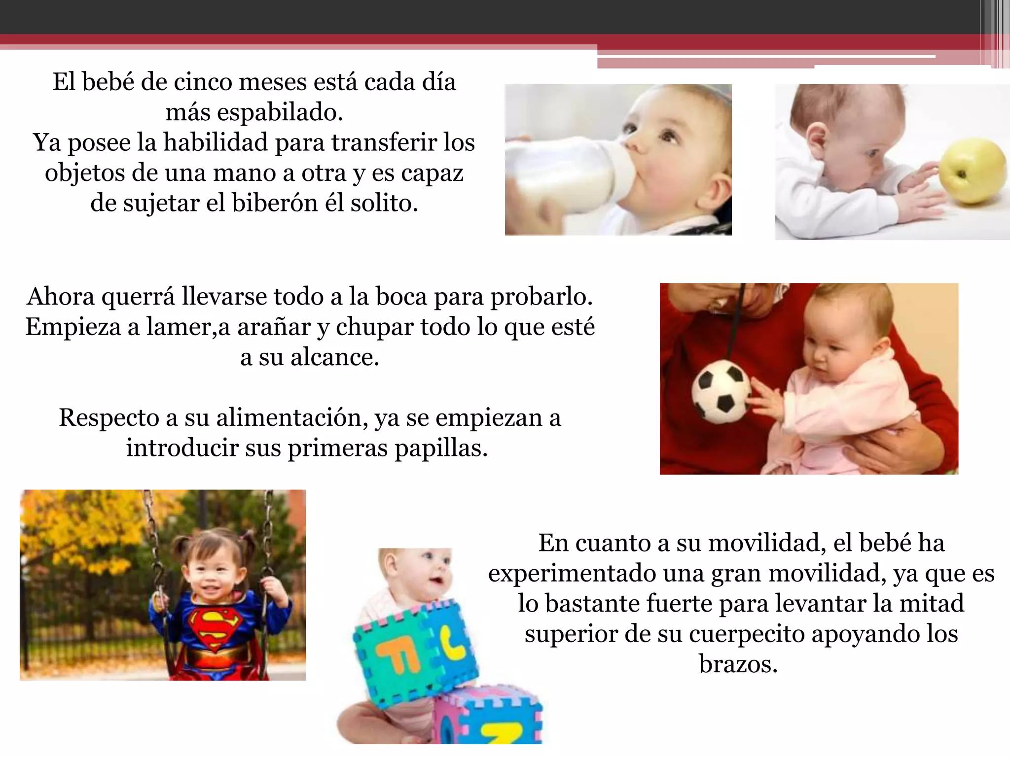 Hitos Bebe De Cinco Meses Y Medio De Embarazo Desarrollo Beb Un