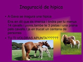 Inaguració de hipica
● A Gava se inagura una hipica
Ens en dit que és imensa i tindra per lu menus
14 cavalls i ponis,tambe te 3 pistas i una pisina
pels cavalls.I ja en trucat un centana de
persones
● TU TI VOLDRAS APUNTA??????
 