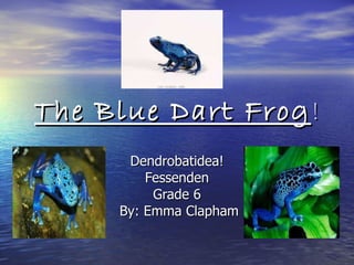The Blue Dart Frog ! Dendrobatidea! Fessenden Grade 6 By: Emma Clapham 