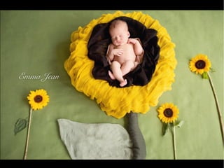 Emma Jean Nolan Fotógrafa