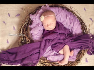 Emma Jean Nolan Fotógrafa