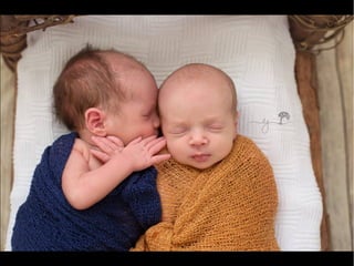 Emma Jean Nolan Fotógrafa