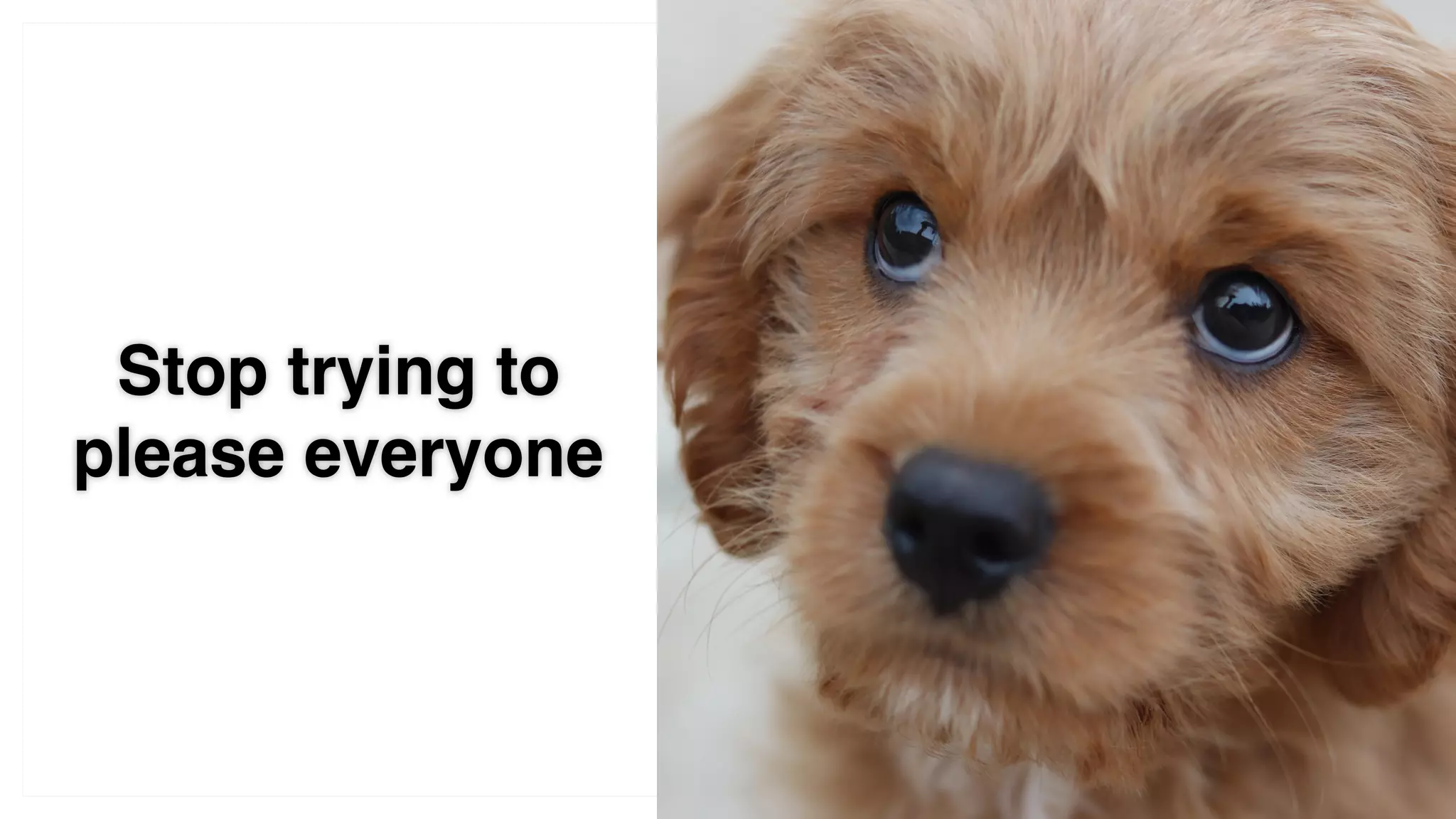 Stop trying to
please everyone