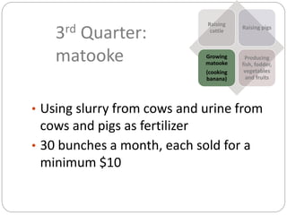 3rd Quarter:
matooke
• Using slurry from cows and urine from
cows and pigs as fertilizer
• 30 bunches a month, each sold for a
minimum $10
Raising
cattle
Raising pigs
Growing
matooke
(cooking
banana)
Producing
fish, fodder,
vegetables
and fruits
 