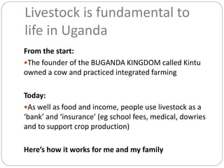 Livestock is fundamental to
life in Uganda
From the start:
The founder of the BUGANDA KINGDOM called Kintu
owned a cow and practiced integrated farming
Today:
As well as food and income, people use livestock as a
‘bank’ and ‘insurance’ (eg school fees, medical, dowries
and to support crop production)
Here’s how it works for me and my family
 