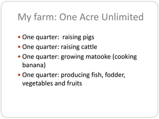 My farm: One Acre Unlimited
 One quarter: raising pigs
 One quarter: raising cattle
 One quarter: growing matooke (cooking
banana)
 One quarter: producing fish, fodder,
vegetables and fruits
 