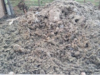 Livestock and household-level economic development: An example from Uganda