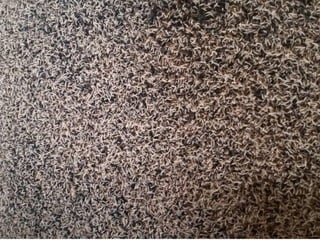 Livestock and household-level economic development: An example from Uganda