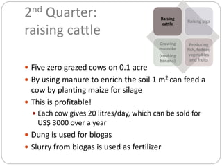 Livestock and household-level economic development: An example from Uganda