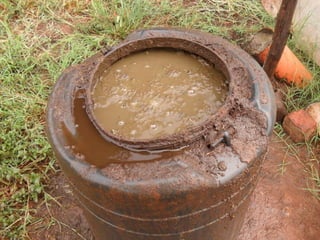 Livestock and household-level economic development: An example from Uganda