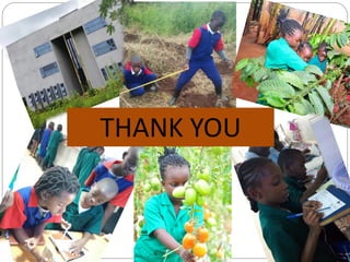 Livestock and household-level economic development: An example from Uganda