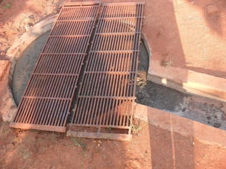 Livestock and household-level economic development: An example from Uganda