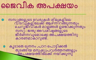 സസയങ്ങളുലട ങ്വരുകൾ ശിെകളിലെ
വിടവുകളിങ്െക്ക് ആഴ്ന്ന്നിറങ്ങുന്നതും
ലചറൂൈീവികൾ മാളങ്ങൾ ഉണ്ടാക്കുന്നതും
സസയ- ൈന്തു അവശിഷ്ടങ്ങളുലട
ൈീർണനവുലമാലക്ക അപക്ഷയത്തിനു
കാരണമാകാറുണ്ട്.
കൂടാലത ഖനനം ,പാറ ലപാട്ടിക്കൽ
തുടങ്ങിയ മനുഷ്യപ്പവർത്തനങ്ങളും
അപക്ഷയത്തിങ്െക്ക് നയിക്കുന്നു
 