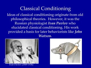 Ideas of classical conditioning originate from old
philosophical theories. However, it was the
Russian physiologist Ivan Pavlov who
elucidated classical conditioning. His work
provided a basis for later behaviorists like John
Watson.
Classical Conditioning
Ivan Pavlov (1849-1936)
Sovfoto
 