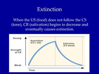 Extinction
When the US (food) does not follow the CS
(tone), CR (salivation) begins to decrease and
eventually causes extinction.
 