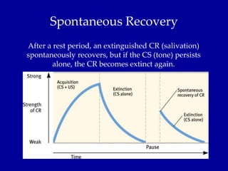 Spontaneous Recovery
After a rest period, an extinguished CR (salivation)
spontaneously recovers, but if the CS (tone) persists
alone, the CR becomes extinct again.
 