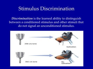 Stimulus Discrimination
Discrimination is the learned ability to distinguish
between a conditioned stimulus and other stimuli that
do not signal an unconditioned stimulus.
 