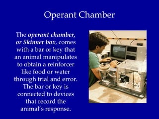 Operant Chamber
The operant chamber,
or Skinner box, comes
with a bar or key that
an animal manipulates
to obtain a reinforcer
like food or water
through trial and error.
The bar or key is
connected to devices
that record the
animal’s response.
 