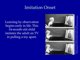 Imitation Onset
Learning by observation
begins early in life. This
14-month-old child
imitates the adult on TV
in pulling a toy apart.
Meltzoff,
A.N.
(1998).
Imitation
of
televised
models
by
infants.
Child
Development,
59
1221-1229.
Photos
Courtesy
of
A.N.
Meltzoff
and
M.
Hanuk.
 