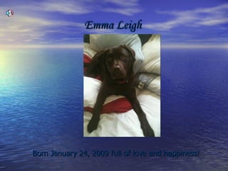 Emma Leigh   ,[object Object]