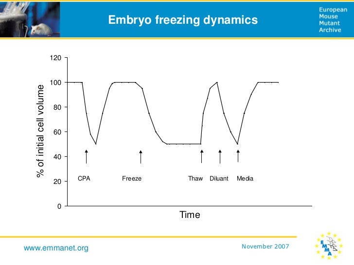 A Slow Freeze/Thaw Method for Cryopreservation of Mouse Embryos