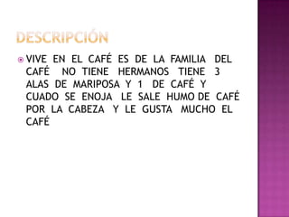  VIVE EN EL CAFÉ ES DE LA FAMILIA DEL
CAFÉ NO TIENE HERMANOS TIENE 3
ALAS DE MARIPOSA Y 1 DE CAFÉ Y
CUADO SE ENOJA LE SALE HUMO DE CAFÉ
POR LA CABEZA Y LE GUSTA MUCHO EL
CAFÉ
 