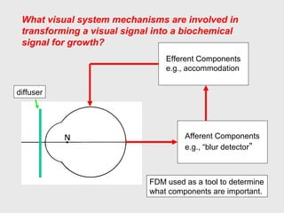 What visual system mechanisms are involved in
transforming a visual signal into a biochemical
signal for growth?
Afferent Components
e.g., “blur detector”
Efferent Components
e.g., accommodation
diffuser
FDM used as a tool to determine
what components are important.
 