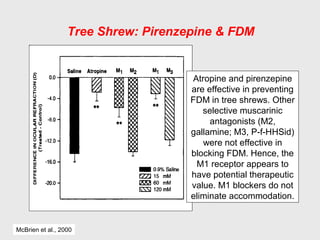 Atropine and pirenzepine
are effective in preventing
FDM in tree shrews. Other
selective muscarinic
antagonists (M2,
gallamine; M3, P-f-HHSid)
were not effective in
blocking FDM. Hence, the
M1 receptor appears to
have potential therapeutic
value. M1 blockers do not
eliminate accommodation.
McBrien et al., 2000
Tree Shrew: Pirenzepine & FDM
 