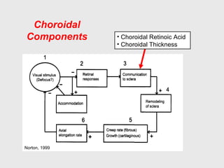 Choroidal
Components
Norton, 1999
• Choroidal Retinoic Acid
• Choroidal Thickness
 
