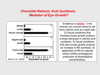 Choroidal Retinoic Acid Synthesis:
Mediator of Eye Growth?
Evidence in chicks: 1) the
choroid can convert retinol to all-
trans retinoic acid at a rapid rate.
2) Visual conditions that
increase ocular growth produce
a sharp decrease in retinoic acid
synthesis. 3) Visual conditions
that slow ocular growth produce
an increase in RA synthesis. 4)
application of RA to cultured
sclera inhibits proteoglycan
production at physiological
concentrations.Mertz et al., 2000a
 