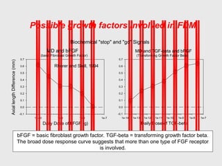 Daily Dose of bFGF (g)
1e-10 1e-9 1e-8 1e-7
-0.1
0.0
0.1
0.2
0.3
0.4
0.5
0.6
0.7
Daily Dose of TGF-beta
1e-14 1e-13 1e-12 1e-11 1e-10 1e-9 1e-8 1e-7
AxiallengthDifference(mm)
-0.1
0.0
0.1
0.2
0.3
0.4
0.5
0.6
0.7
MD and bFGF MD and TGF-beta and bFGF
Biochemical "stop" and "go" Signals
Rhorer and Stell, 1994
(basic Fibrobast Growth Factor) (Transforming Growth Factor Beta)
Possible growth factors involved in FDM
bFGF = basic fibroblast growth factor. TGF-beta = transforming growth factor beta.
The broad dose response curve suggests that more than one type of FGF receptor
is involved.
 