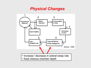 Physical Changes
Norton, 1999
• Increase / decrease in scleral creep rate
• Axial vitreous chamber depth
 