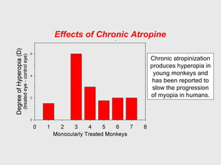 Chronic atropinization
produces hyperopia in
young monkeys and
has been reported to
slow the progression
of myopia in humans.
Effects of Chronic Atropine
 