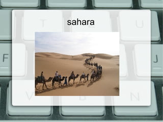 sahara 