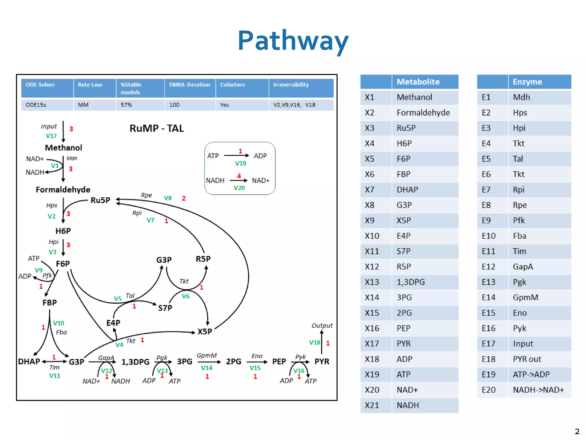 Using Machine Learning in Metabolic System Analysis: Explanation and ...