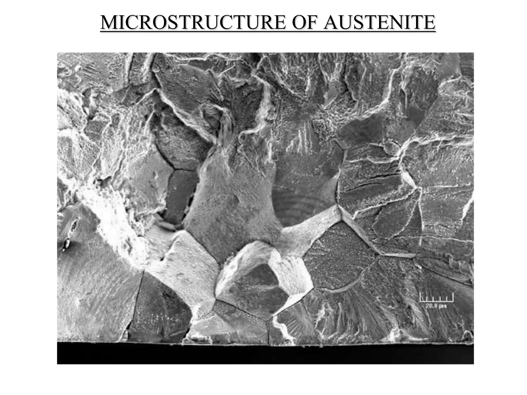 MICROSTRUCTURE OF AUSTENITE
 
