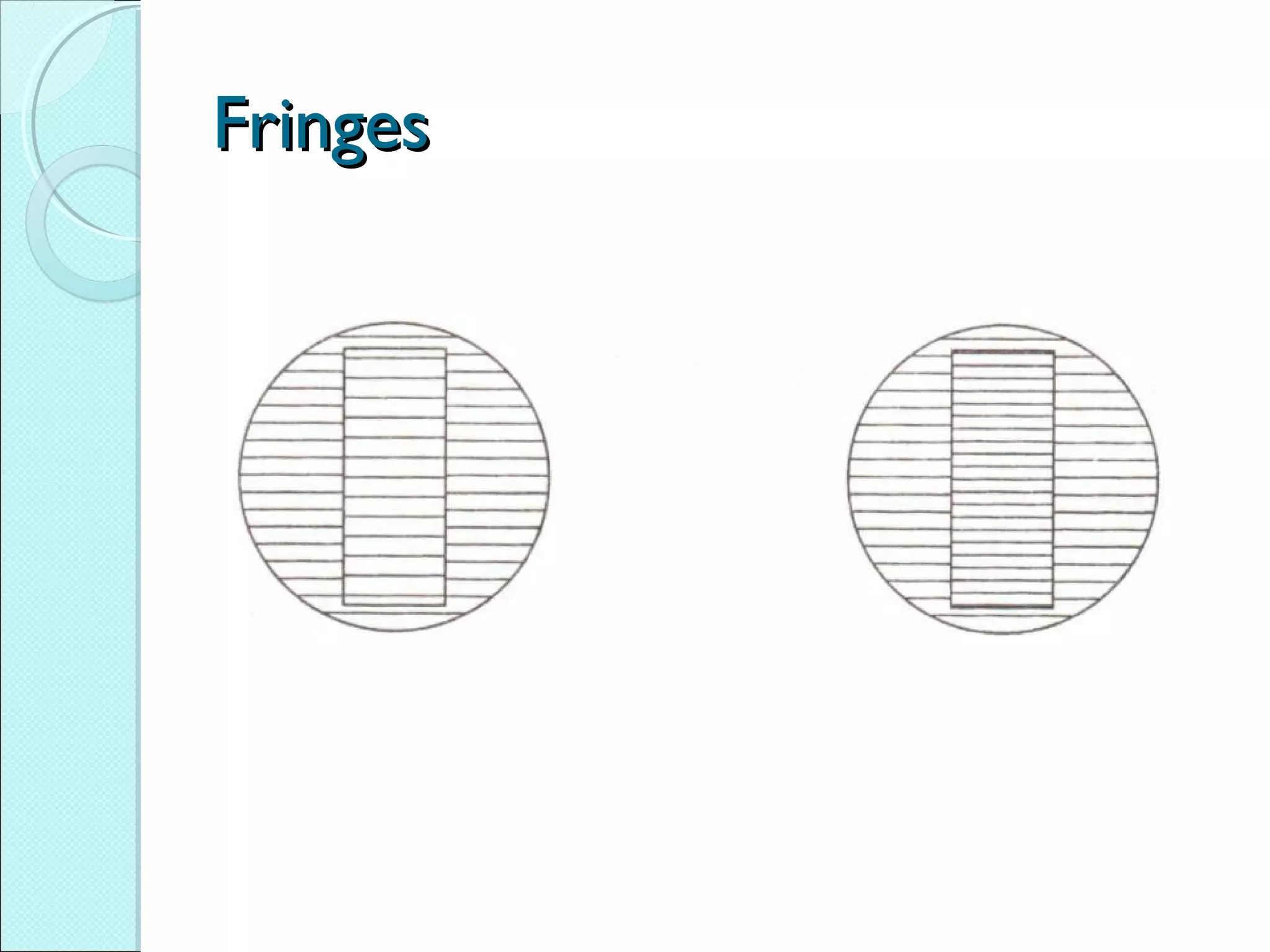 FringesFringes
 