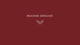 MUCHAS GRACIAS
 
