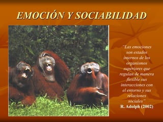 EMOCIÓN Y SOCIABILIDAD

                   “Las emociones
                      son estados
                    internos de los
                      organismos
                    superiores que
                 regulan de manera
                      flexible sus
                  interacciones con
                   el entorno y sus
                       relaciones
                        sociales”
                 R. Adolph (2002)
 