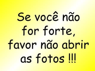 Se você não for forte, favor não abrir as fotos !!! 