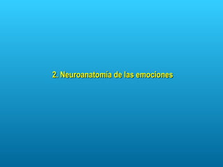 2. Neuroanatomía de las emociones 