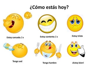 ¿Cómo estás hoy?
Estoy cansado / a Estoy contento / a
Tengo sed
Tengo hambre ¡Estoy bien!
Estoy triste
 