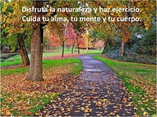 Disfruta la naturaleza y haz ejercicio.  Cuida tu alma, tu mente y tu cuerpo. 