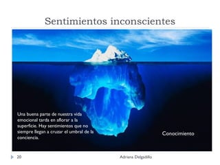 Sentimientos inconscientes Una buena parte de nuestra vida emocional tarda en aflorar a la superficie. Hay sentimientos que no siempre llegan a cruzar el umbral de la conciencia.  Adriana Delgadillo Conocimiento 