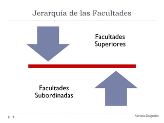 Jerarquía de las Facultades Adriana Delgadillo 