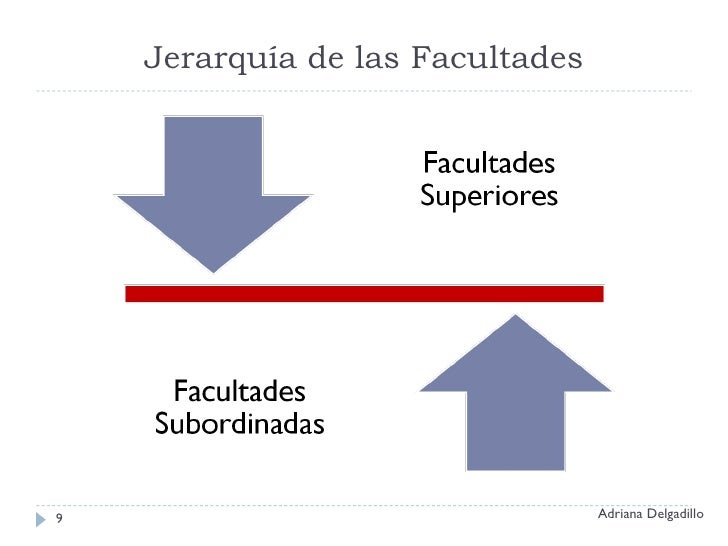 Emociones pasiones y sentimientos