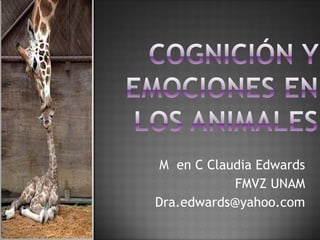 M en C Claudia Edwards
FMVZ UNAM
Dra.edwards@yahoo.com
 