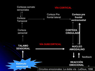 NUCLEO
AMIGDALINO
TALAMO
SENSORIAL
VÍA SUBCORTICAL
REACCIÓN
EMOCIONAL
Estímulo
emocional
CORTEZA
CINGULADA
Corteza pre
frontal
ventromedial
VÍA CORTICAL
Corteza
sensorial
Corteza Pre
frontal lateralCorteza
Temporal
Cortezas somato
sensoriales
feedback
Circuitos emocionales: La doble vía - LeDoux, 1996
3232
 