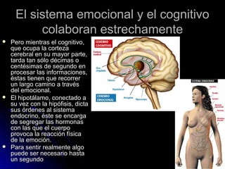 El sistema emocional y el cognitivoEl sistema emocional y el cognitivo
colaboran estrechamentecolaboran estrechamente
 Pero mientras el cognitivo,Pero mientras el cognitivo,
que ocupa la cortezaque ocupa la corteza
cerebral en su mayor parte,cerebral en su mayor parte,
tarda tan sólo décimas otarda tan sólo décimas o
centésimas de segundo encentésimas de segundo en
procesar las informaciones,procesar las informaciones,
éstas tienen que recorreréstas tienen que recorrer
un largo camino a travésun largo camino a través
del emocional.del emocional.
 El hipotálamo, conectado aEl hipotálamo, conectado a
su vez con la hipófisis, dictasu vez con la hipófisis, dicta
sus órdenes al sistemasus órdenes al sistema
endocrino, éste se encargaendocrino, éste se encarga
de segregar las hormonasde segregar las hormonas
con las que el cuerpocon las que el cuerpo
provoca la reacción físicaprovoca la reacción física
de la emoción.de la emoción.
 Para sentir realmente algoPara sentir realmente algo
puede ser necesario hastapuede ser necesario hasta
un segundoun segundo 44
 