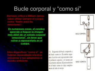 Bucle corporal y “como si”Bucle corporal y “como si”
Damasio critica a William JamesDamasio critica a William James
sobre utilizar siempre el cuerposobre utilizar siempre el cuerpo
como “teatro para lascomo “teatro para las
emociones”:emociones”:
En numerosos casos, el cerebroEn numerosos casos, el cerebro
aprende a fraguar la imagenaprende a fraguar la imagen
más débil de un estado corporalmás débil de un estado corporal
“emocional”, sin tener que“emocional”, sin tener que
volver a representarlo en elvolver a representarlo en el
cuerpocuerpo..
Estos dispositivos “como sí”, seEstos dispositivos “como sí”, se
habrían desarrollado mientrashabrían desarrollado mientras
crecemos y nos adaptamos acrecemos y nos adaptamos a
nuestro ambiente.nuestro ambiente.
4242
 